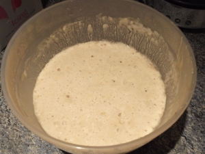 Sourdough Starter on Day 6. More yeasty than yoghurty aromas, very bubbly. Ready to go.